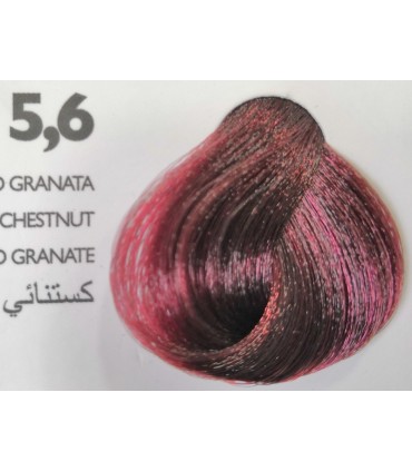 Saphir professional - Intense color 5.6 Castano chiaro granata