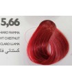 Saphir professional - Intense color 5.66 Castano chiaro fiamma