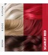 Colore diretto semipermanente - Scarlet red