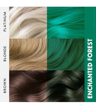 Colore diretto semipermanente - Enchabted forest