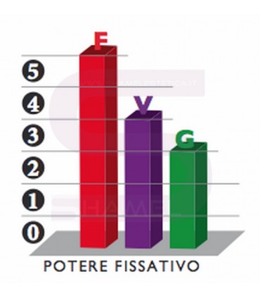 Saphir Professional - F3 STRONG MOUSSE 300ml